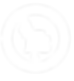 IFE Logo.png