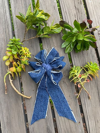 Denim Bow