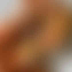 Orange extra fine merin blend