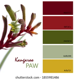BeWeave Colour Palette