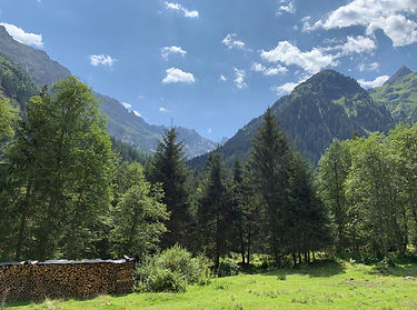 Lapones Gerichtsherrenalm 6.JPG