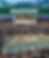 Screenshot 2026-05-11 at 16.25.19.png
