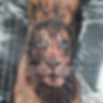 Another nice blue eyes lion_#matteodavic