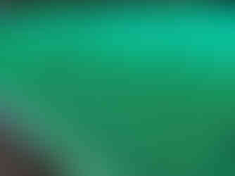 vegetables covered up with farm nets to protect them from pests