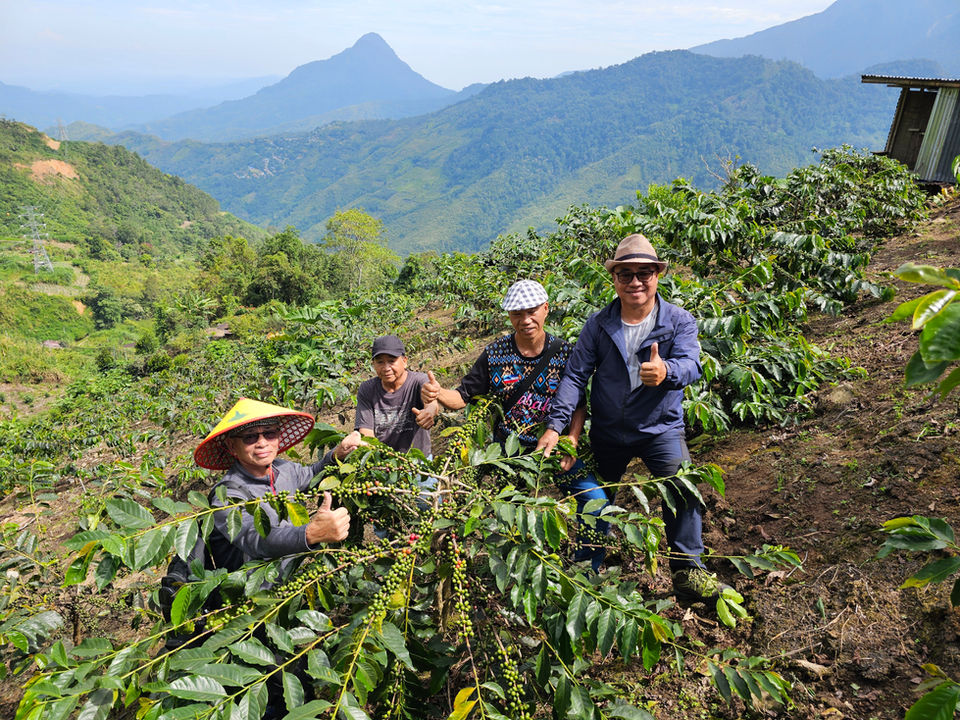 Rural farmers with their self grown coffee plant