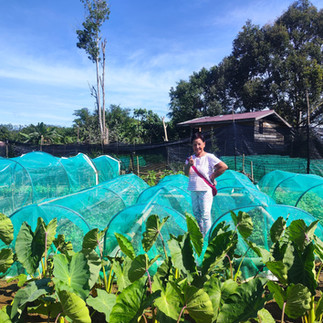 rural farmer at her farm surrounded by all her self grown green vegetables and crops