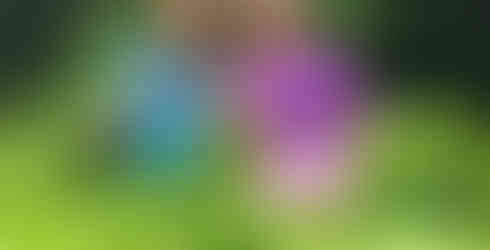 Hopes Malaysia NGO empowering rural families through farming – smiling villager in the field