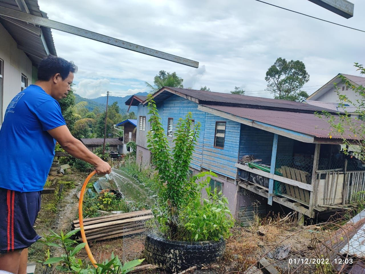 A rural villager using the newly connected gravity-fed water to water his plants.
