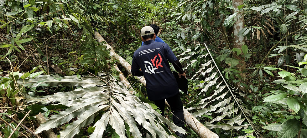 RuralKita field team member walking through dense tropical forest vegetation and over fallen branches while assessing a rural water pipeline route in Kampung Talukung, Kota Belud, Sabah.