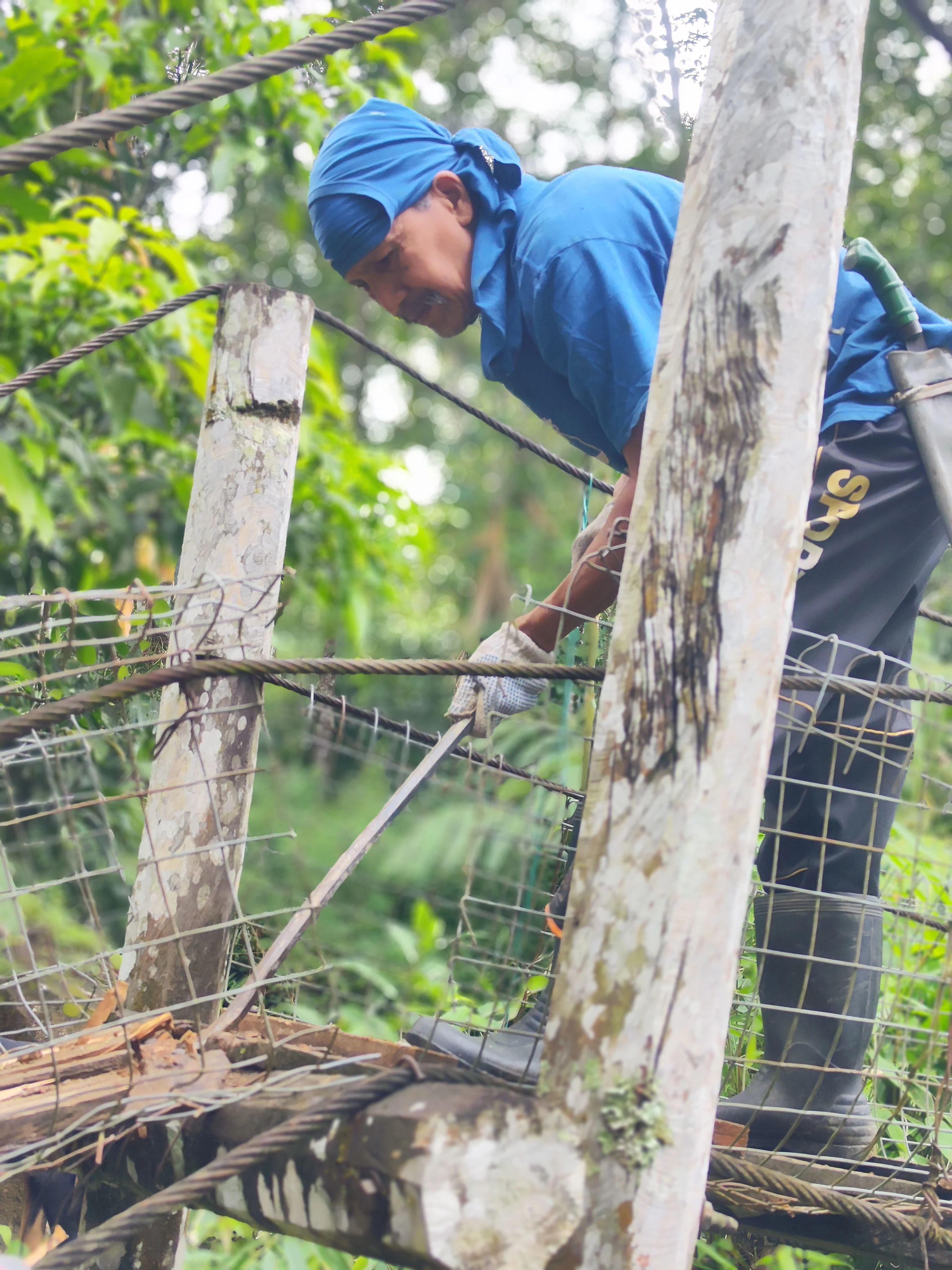 rural villager removing the broken wooden planks from the bridge
