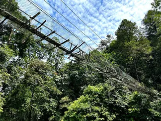 A broken suspension bridge highlighting challenges for the community.