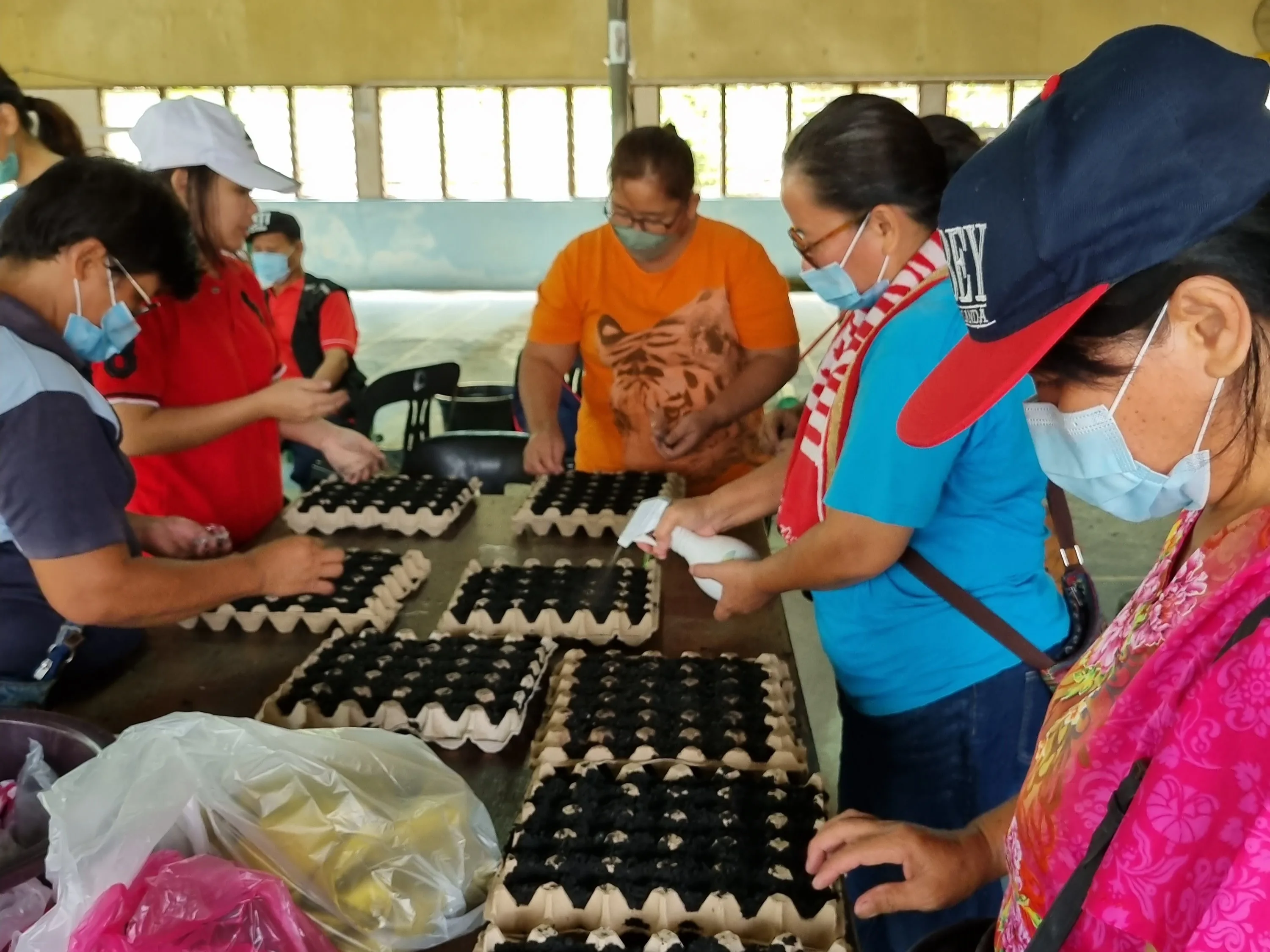 New rural farmers learning proper techniques to grow their seedlings for optimal results.