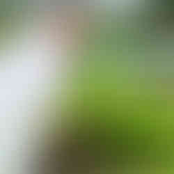 rural farmer with her freshly harvested vegetables
