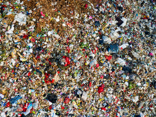The Hidden Environmental Cost of Food Waste in Malaysia and How You Can Help Tackle It