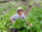 rural farmer with her freshly harvested veggies, Hopes Malaysia: NGO Empowering Rural Sabah with Sustainable Solutions