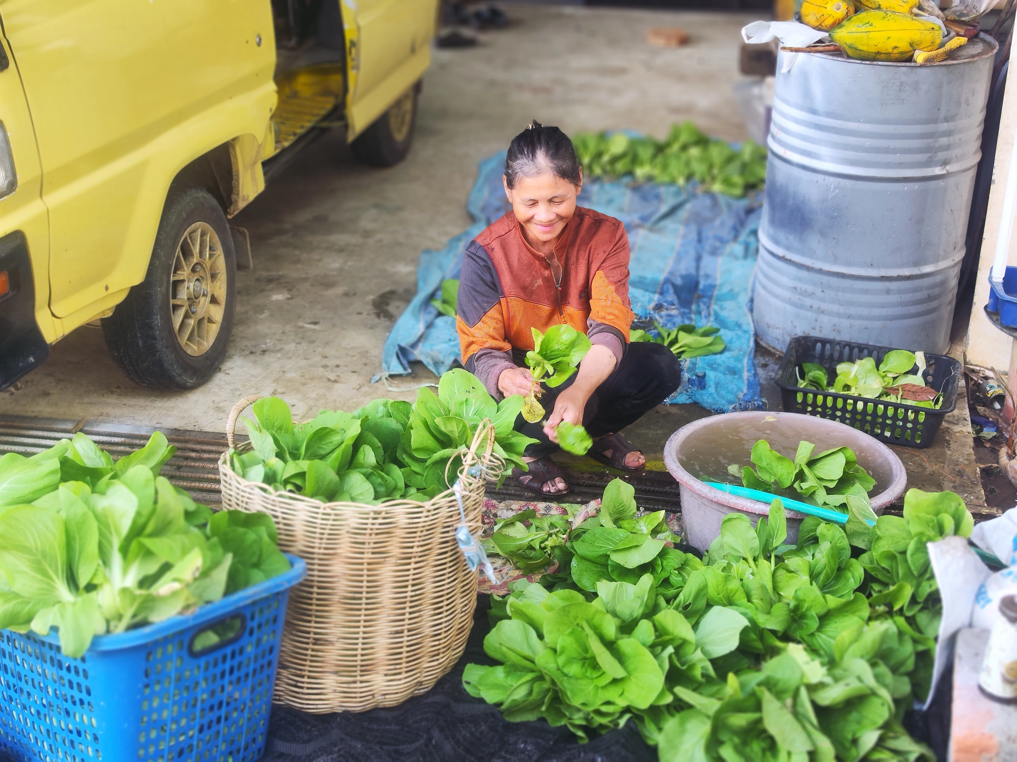 A rural farmer cleaning her freshly harvested vegetables, ready to sell at the market.