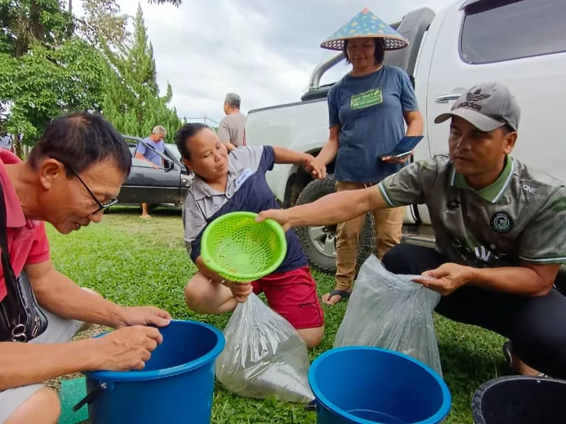 Distributing fish fry to rural villagers to support farm expansion and enhance their protein intake.