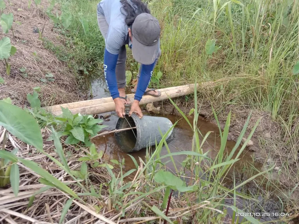 Rural woman collecting water from unclean water stream