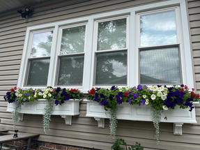 Jackie Higginbotham, South Shore