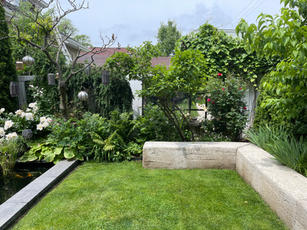 Rear/Side Garden Winner