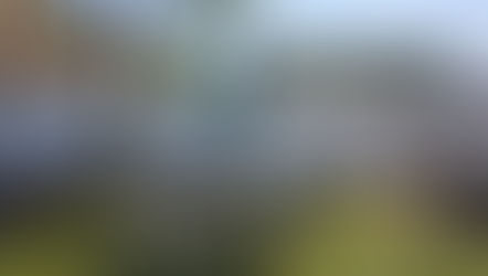 Creating a Low-Maintenance Garden Retreat for a Retiree