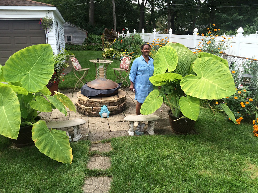 20 Inspiring Chicago Bungalow Gardens