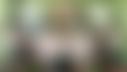 Kitchen Remodel & More in a Colorful, Art-Filled Bungalow