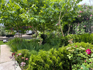 Rear/Side Garden Winner