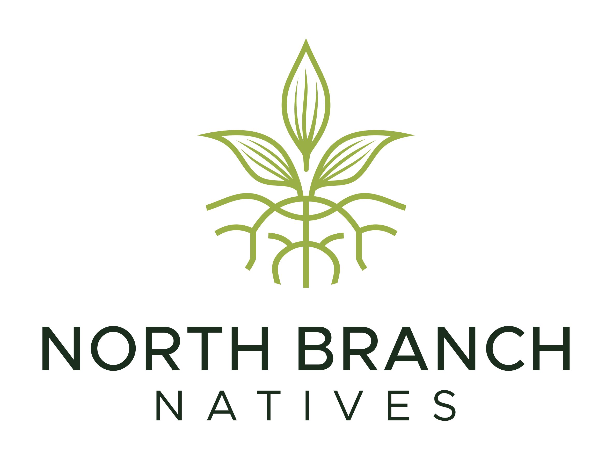 Writer: Fern Anfinson, North Branch Natives