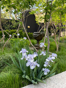 Rear/Side Garden Winner