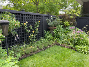 Rear/Side Garden Winner