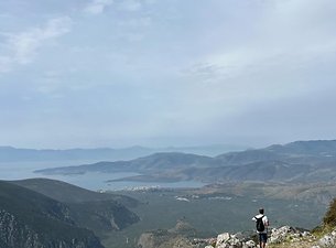 Screenshot 2024-10-15 at 2.23.49 PM.png