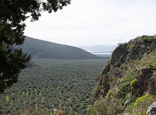 Delphian valley trail scenic views