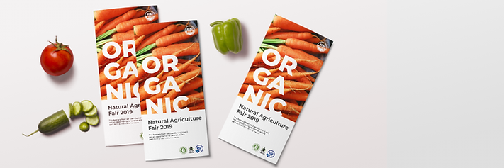 flyer brochure printing.jpeg