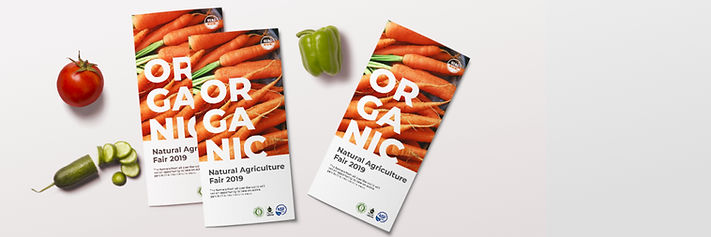 flyer brochure printing.jpeg