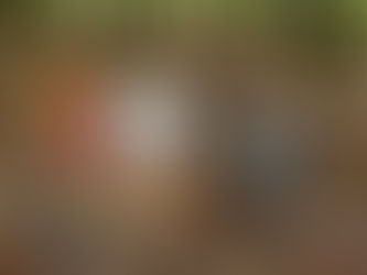 Packaging Trends for 2026-Part 2: What Folding Carton Brands Should Watch