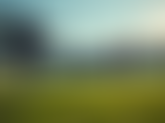 The Role of Coaching in Sports Management