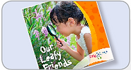 image3.png