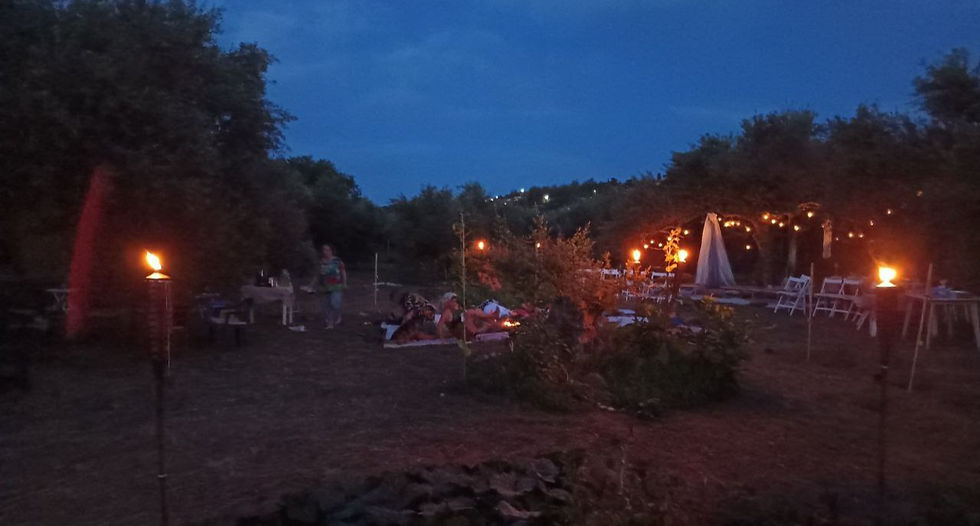 Abend Atmosphere im Luminous Garten Zusammenkunft Austausch Tausch Unabhängigkeit Zusammensein Zusammenhalt Griechenland Apokoronas Kreta
