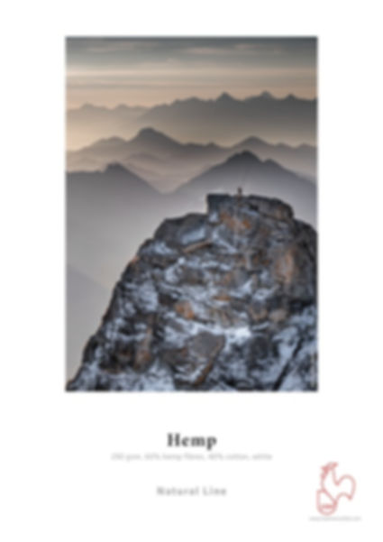 Hemp.jpg