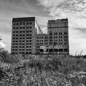 black and white 1.jpg