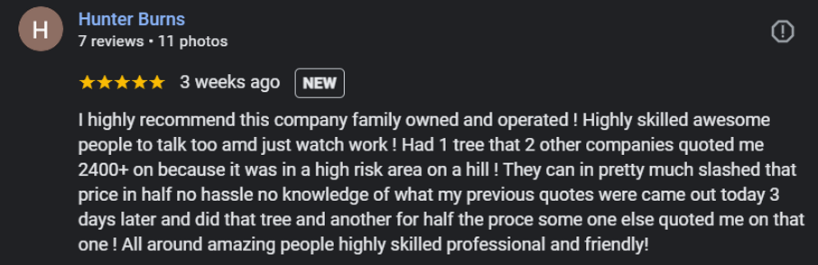 review 1.png