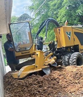 Stump grinding_edited.jpg
