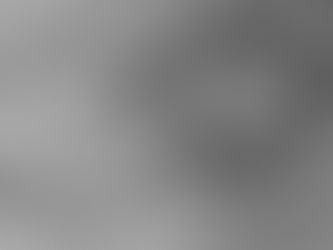 Dragão chinês de 240 milhões de anos é revelado e causa espanto