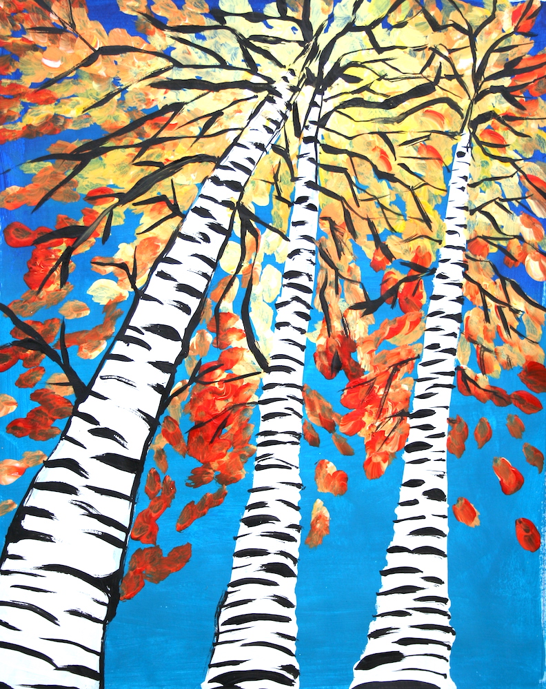 Birch Trees