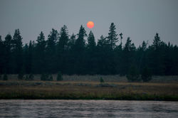 23571152468_e0482d1b8a_o