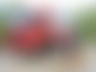 화제 | 전 세계 돌며 등반하는 울프ㆍ버나 부부 “지쳐서 하기 싫을 때까지 세계 등반여행을 할 거예요!”