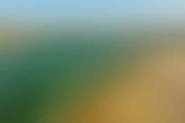 The lagoon of Macapa