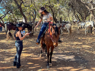 Cow girls of Minas Gerais