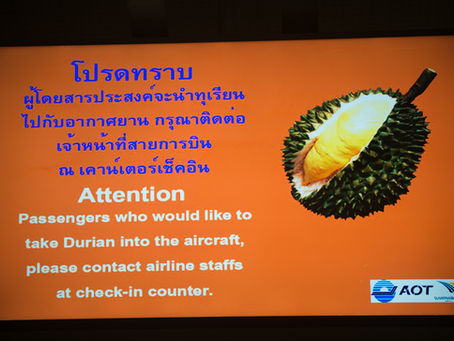 ÜLKELER VE LEZZETLER - COUNTRIES AND TASTES